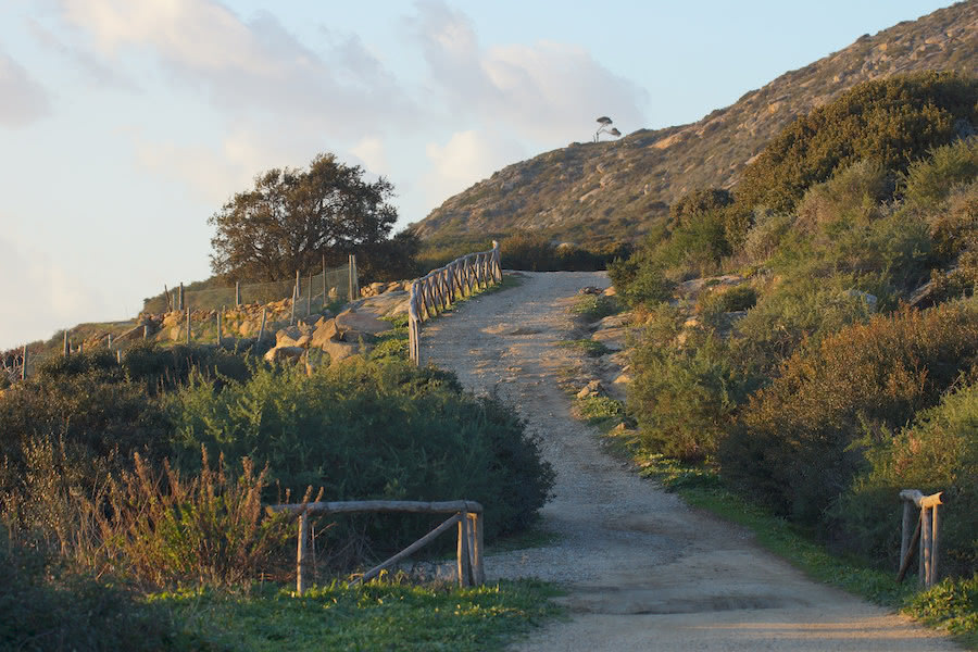 Erkundung der naturalistischen Schönheiten der Maremma