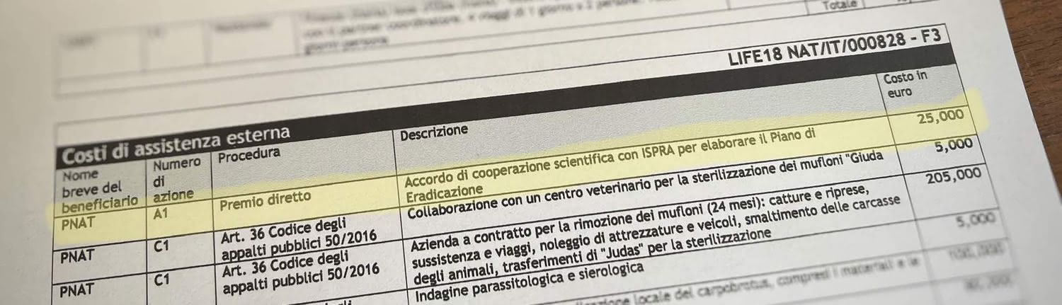 Elenco spese per l'eradicazione mufloni a Isola del Giglio